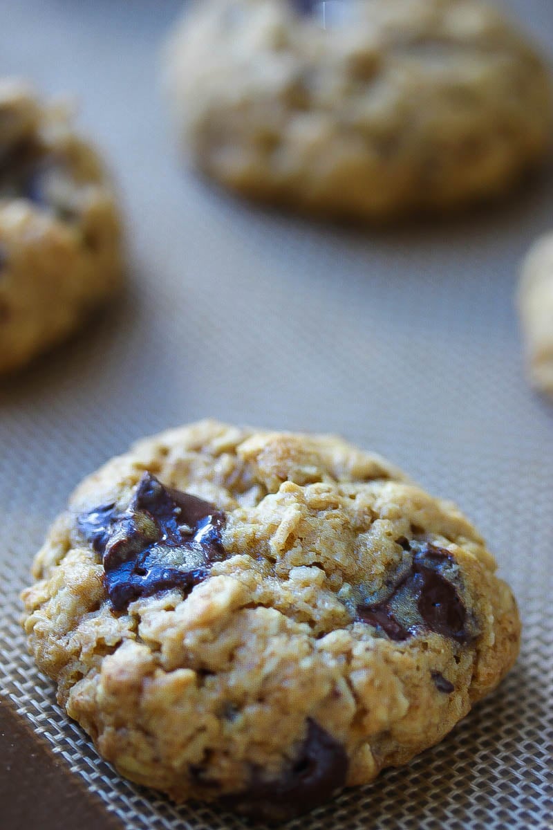 Soft and Chewy Oatmeal Dark Chocolate Cookies made with whole grains for only 100 calories per cookie | dishingouthealth.com