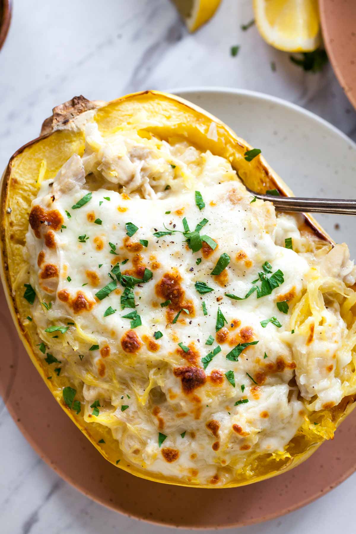 Spaghetti squash boat filled with chicken Alfredo and topped with melted cheese