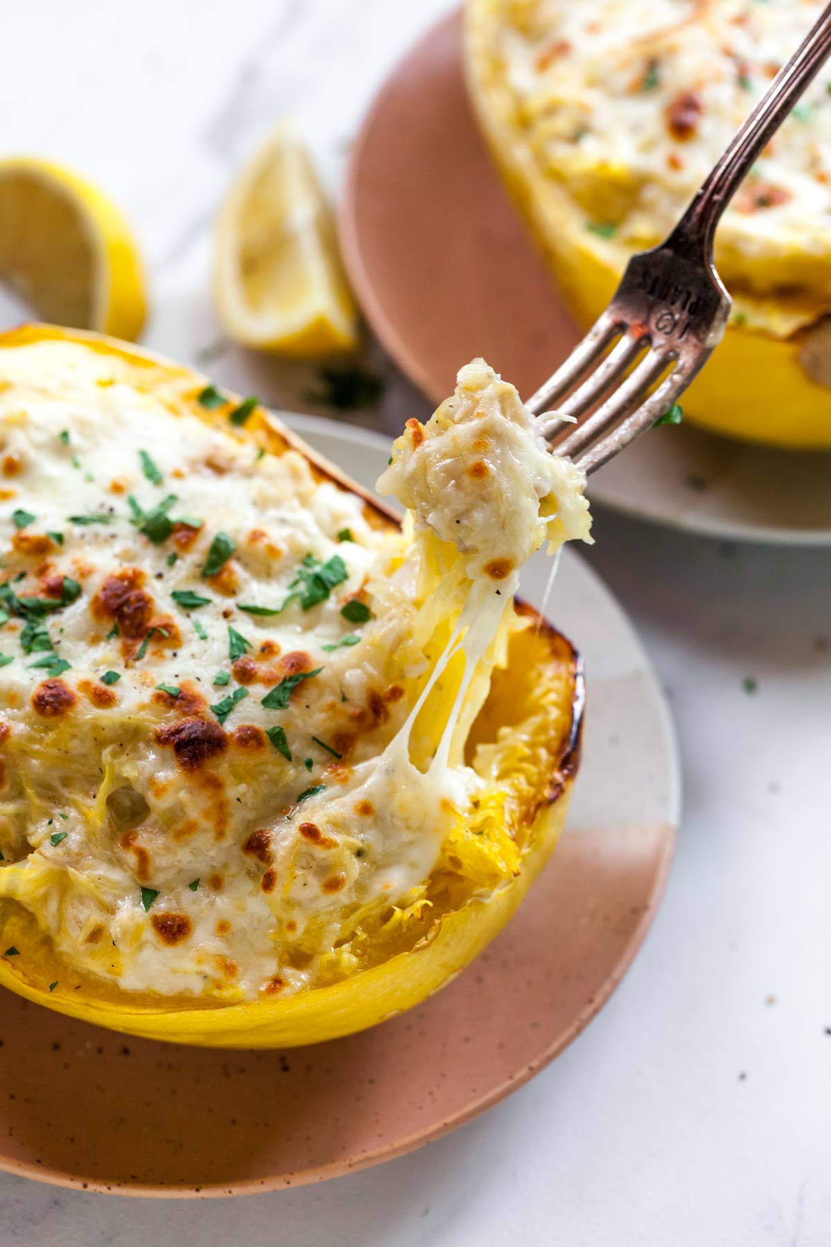 A fork pulling out a bite of chicken alfredo spaghetti squash with cheese pulling