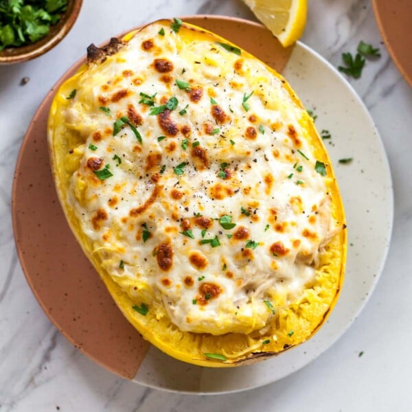 Spaghetti squash boat filled with chicken Alfredo and topped with melted cheese