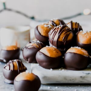 Vegan Cashew Butter Buckeyes