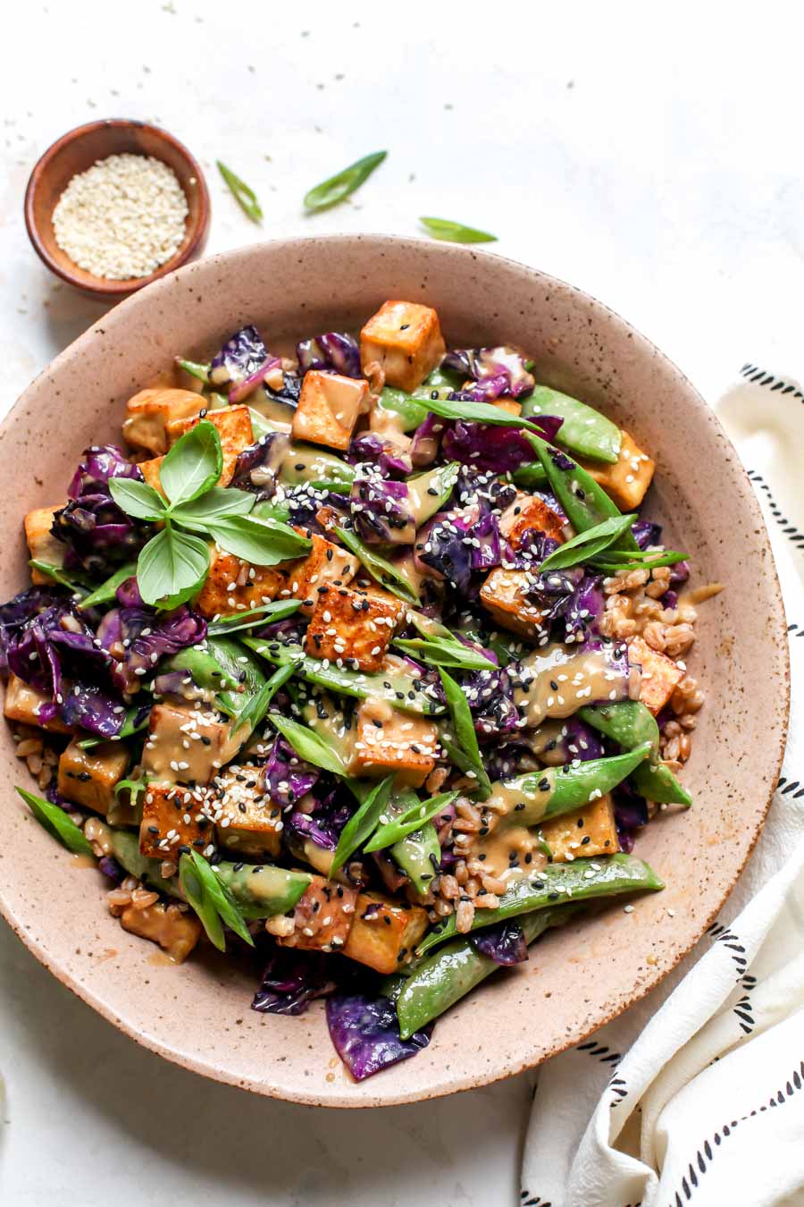 Crispy Tofu with Rice and Veggies