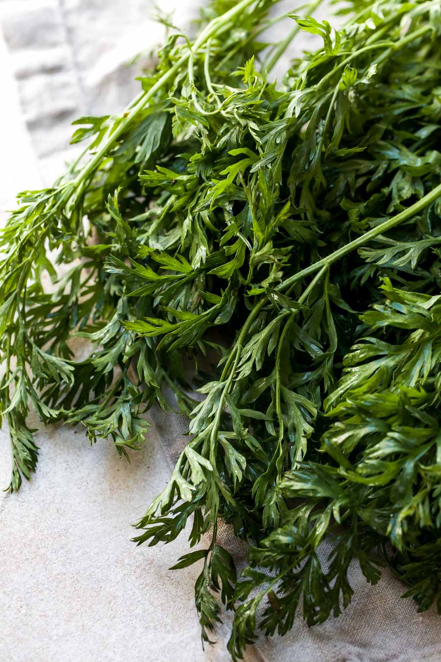 What to Do with Carrot Stems and Leafy Greens