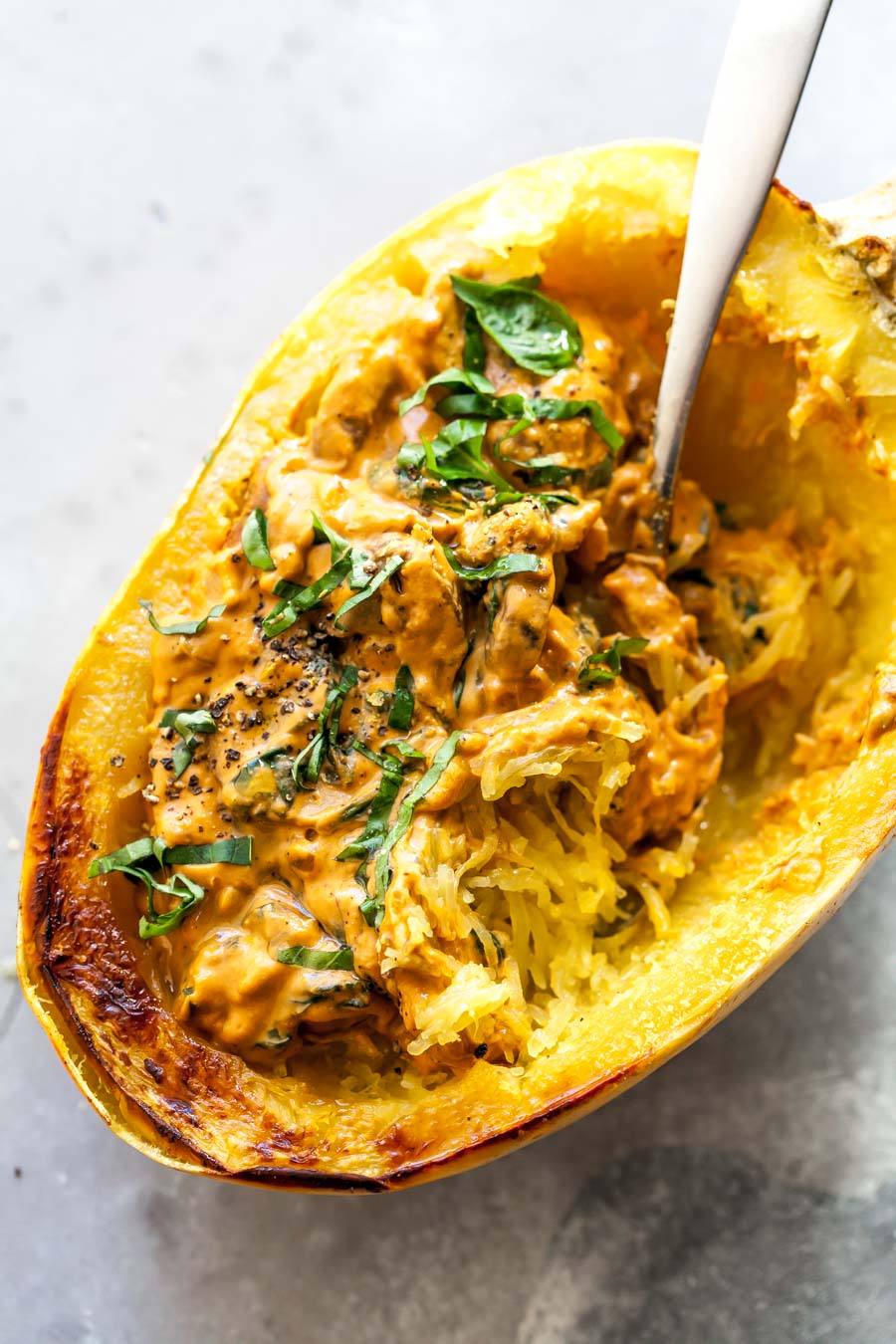 Vegetarian Stuffed Squash with Vodka Sauce and Veggies