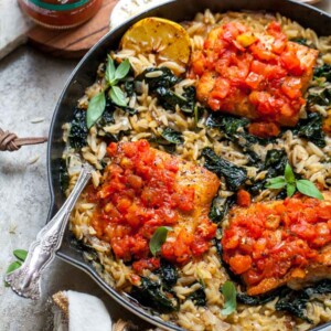 Salmon and orzo topped with tomato bruschetta