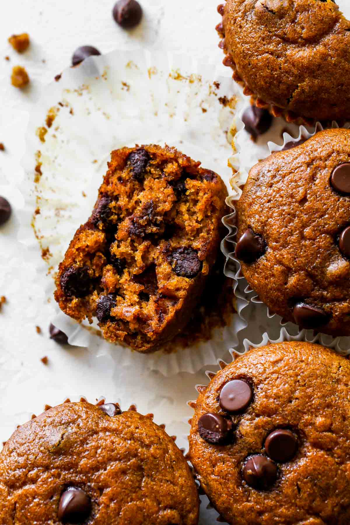 Pumpkin chocolate chip muffins being broke into to see texture