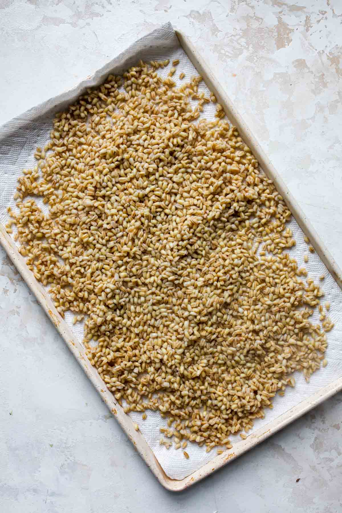 Cooked farro cooling on a baking sheet