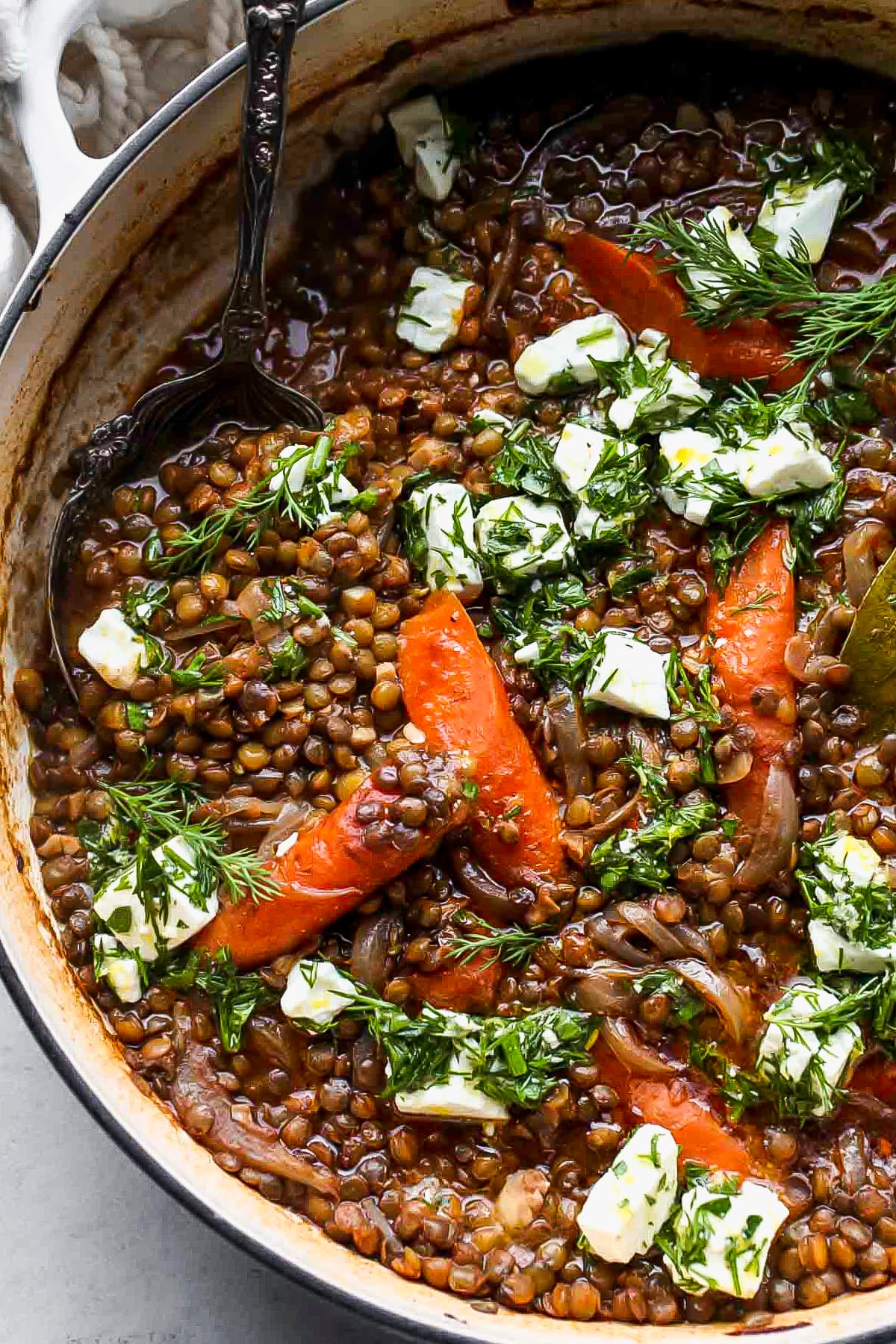 A spoon pulling out a spoonful of stewed lentils