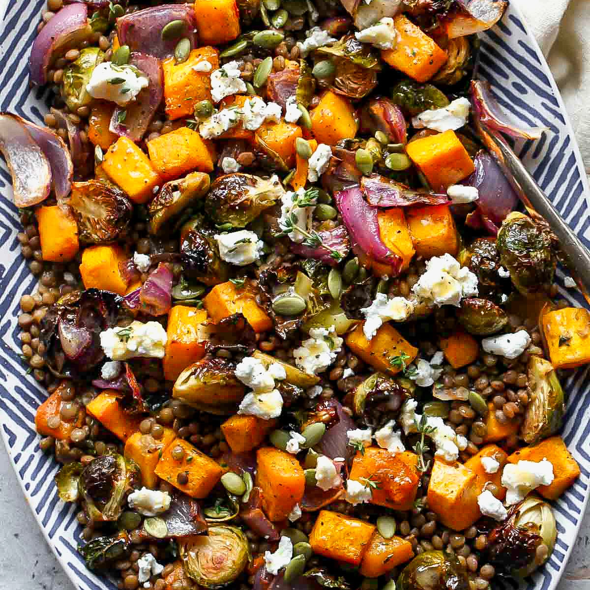 Roasted Veggie Lentil Salad
