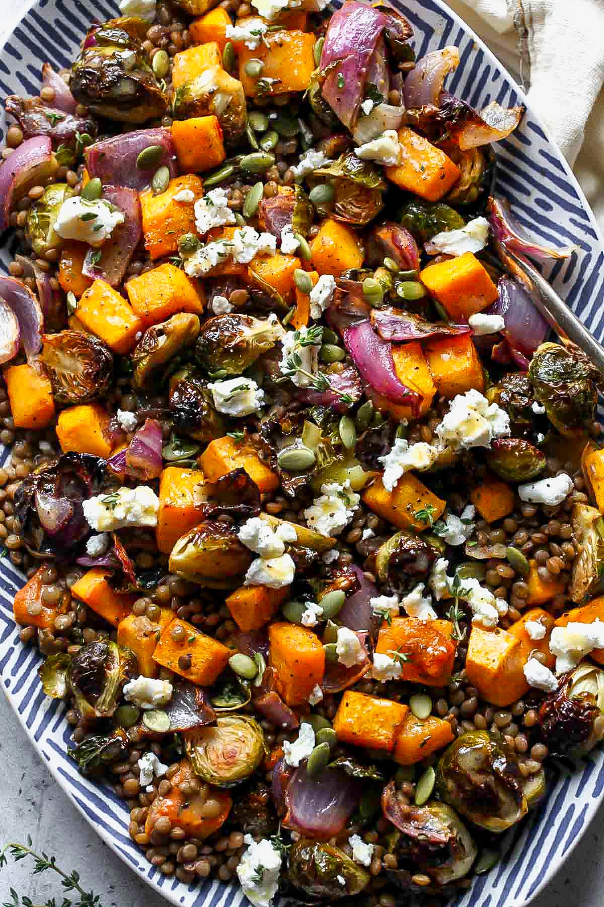Hearty roasted veggie and lentil salad assembled on a platter with a serving spoon resting on the right side.