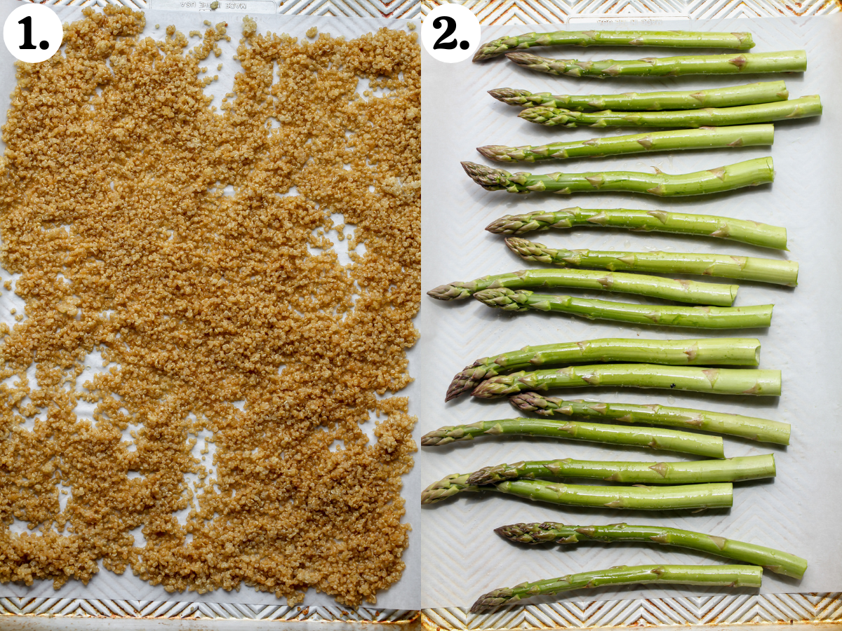 Quinoa spread out on a large rimmed baking sheet, and asparagus spears arranged on a separate baking sheet.